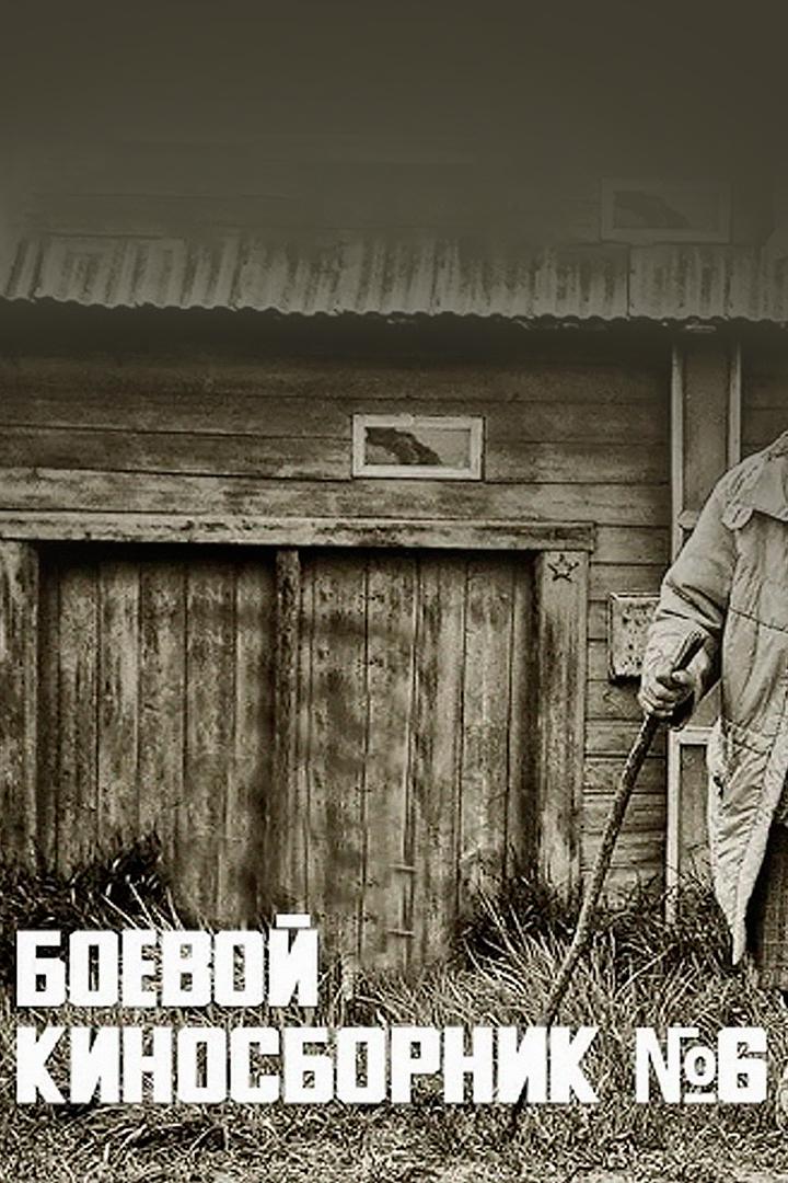 Боевой киносборник № 6