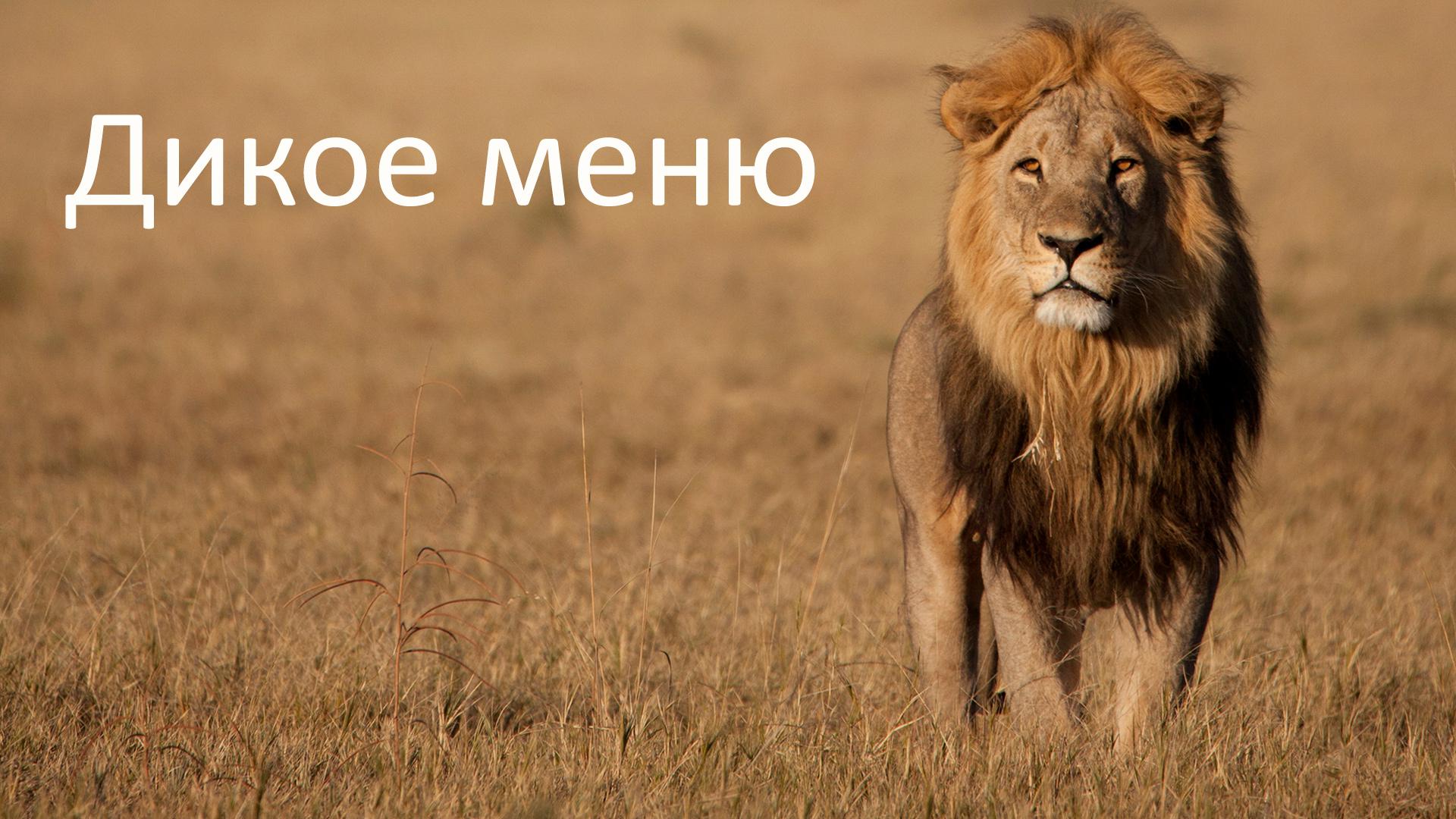 Дикое меню