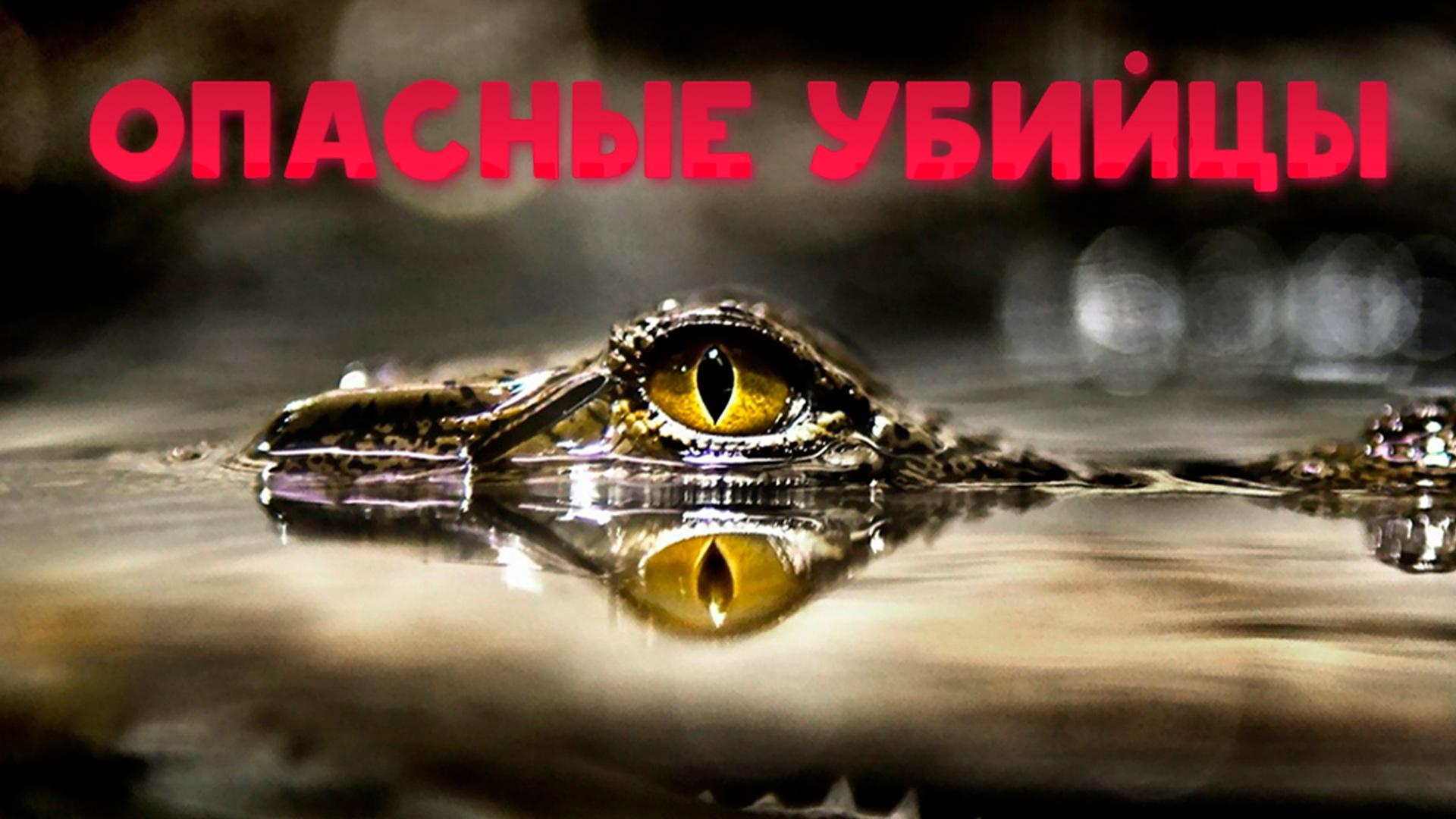 Опасные убийцы