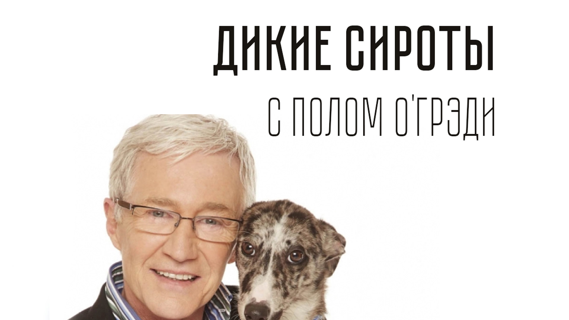 Дикие сироты с Полом О'Грэди