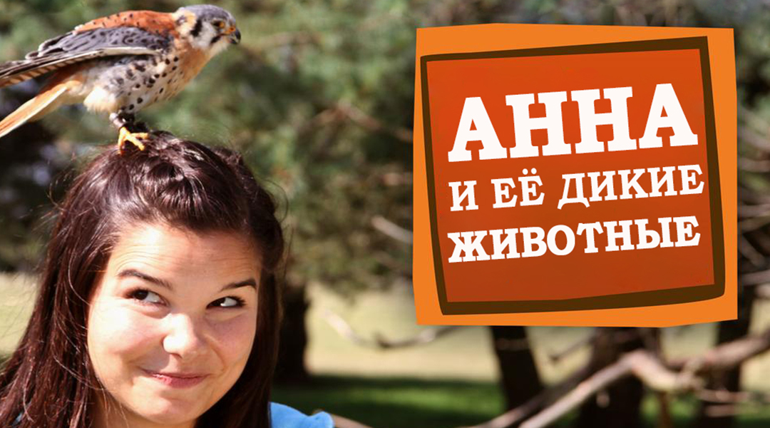 Анна и её дикие животные