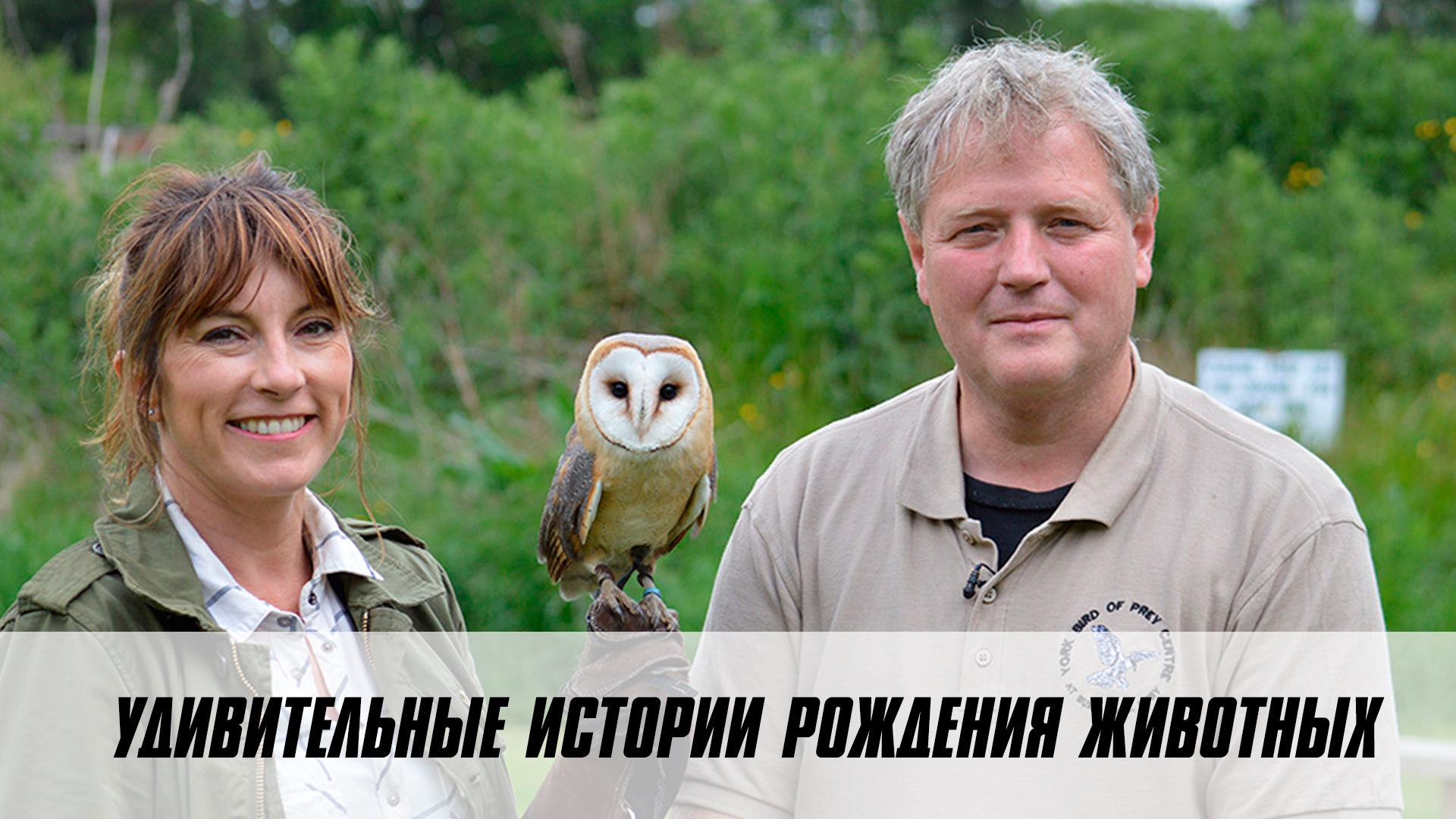 Удивительные истории рождения животных
