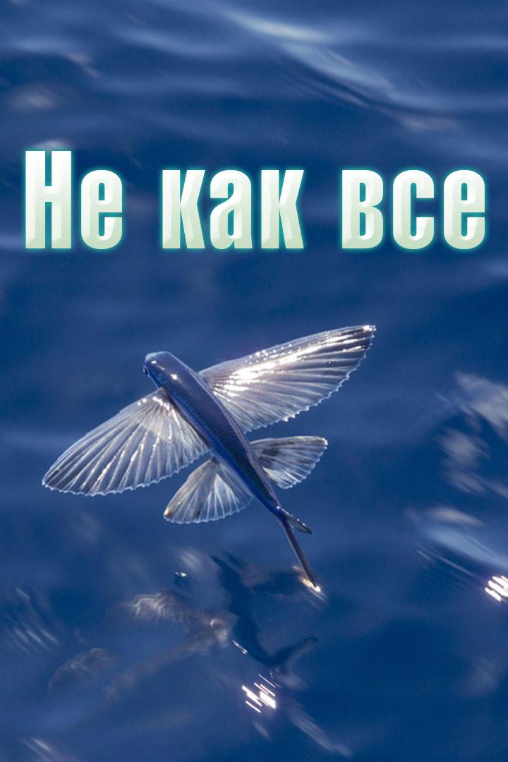 Не как все