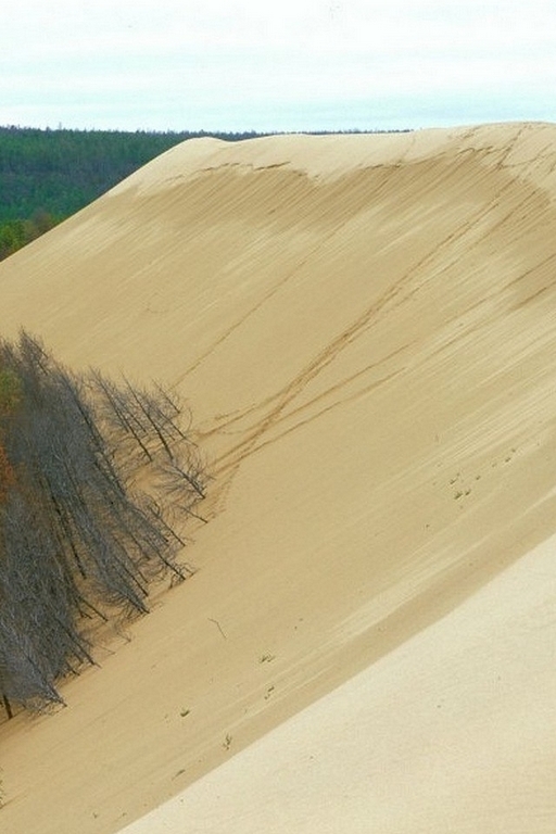 Тукуланы