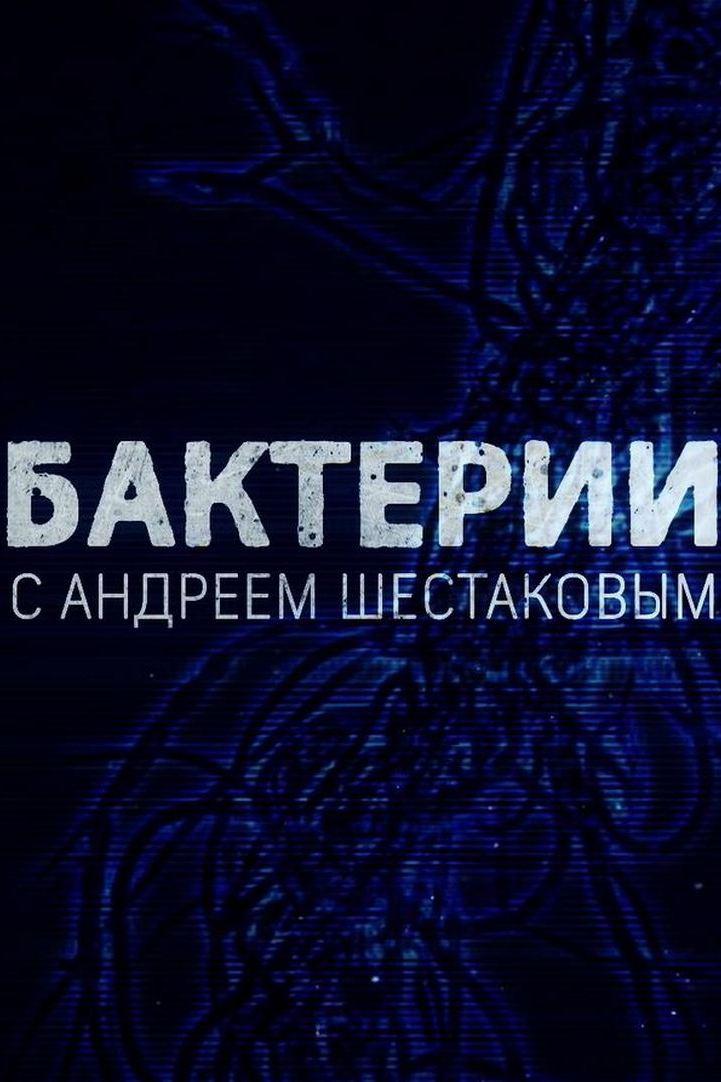Бактерии