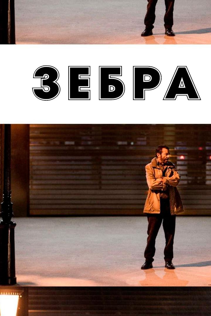 Зебра