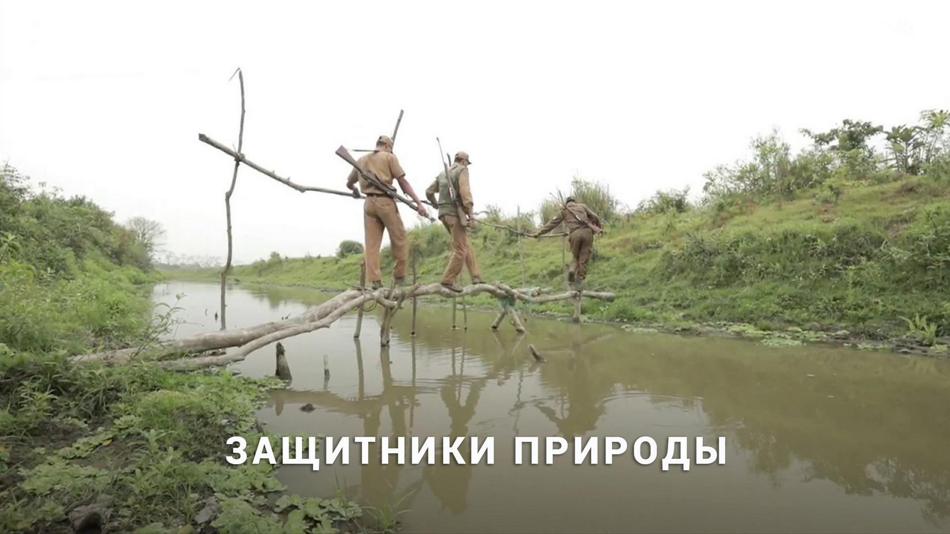 Защитники природы
