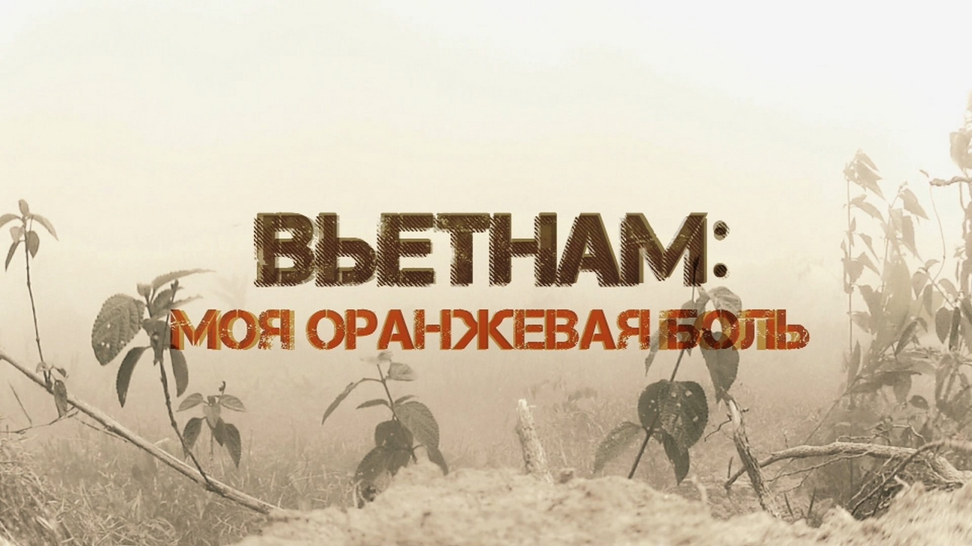 Вьетнам: моя оранжевая боль