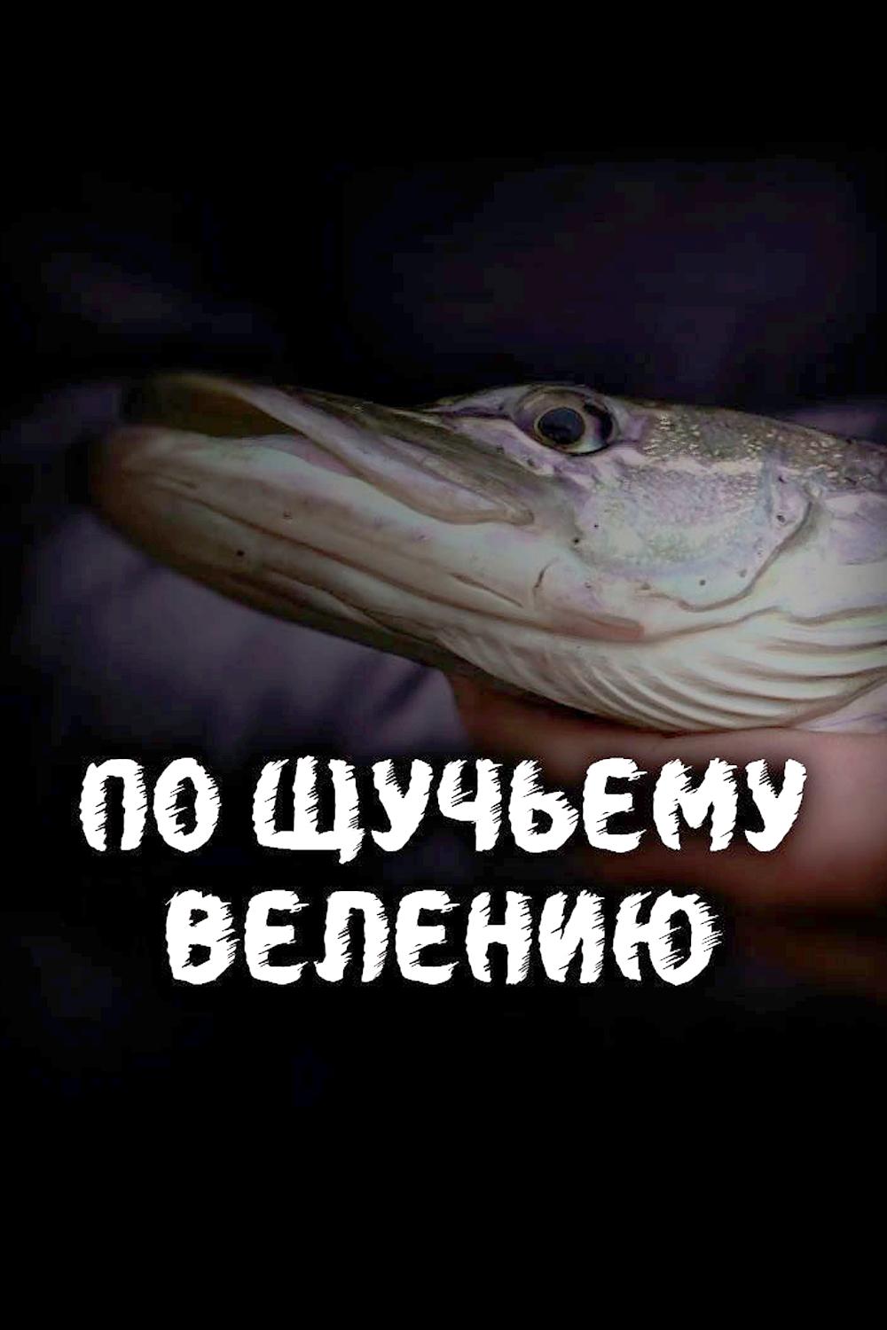 По щучьему велению