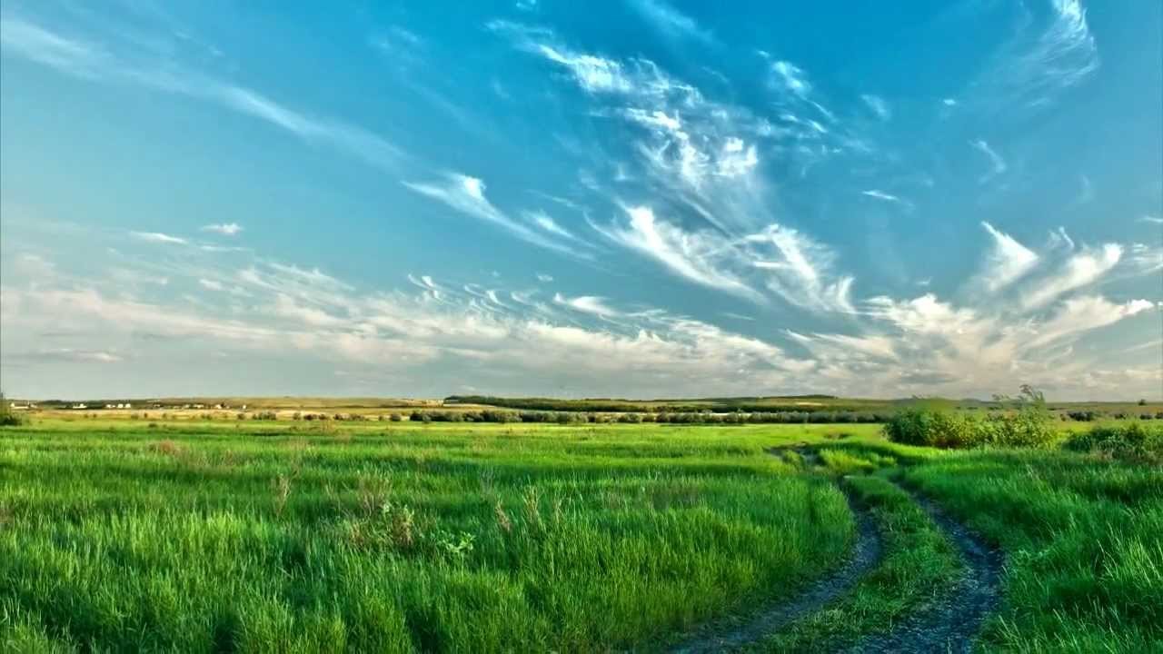 Своими глазами