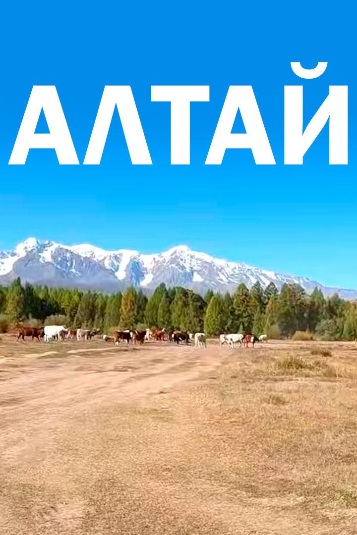 Алтай