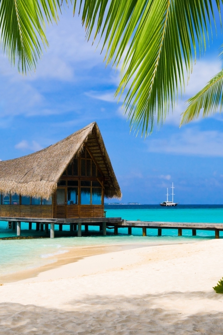 Dream and travel