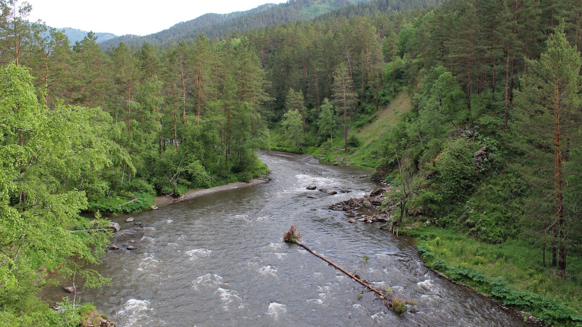 Река Сема