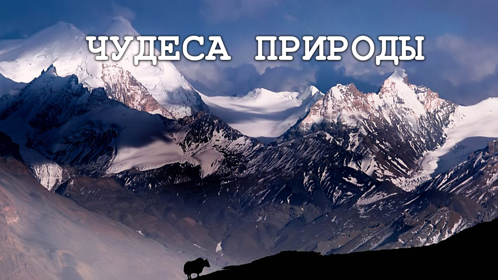 Чудеса природы