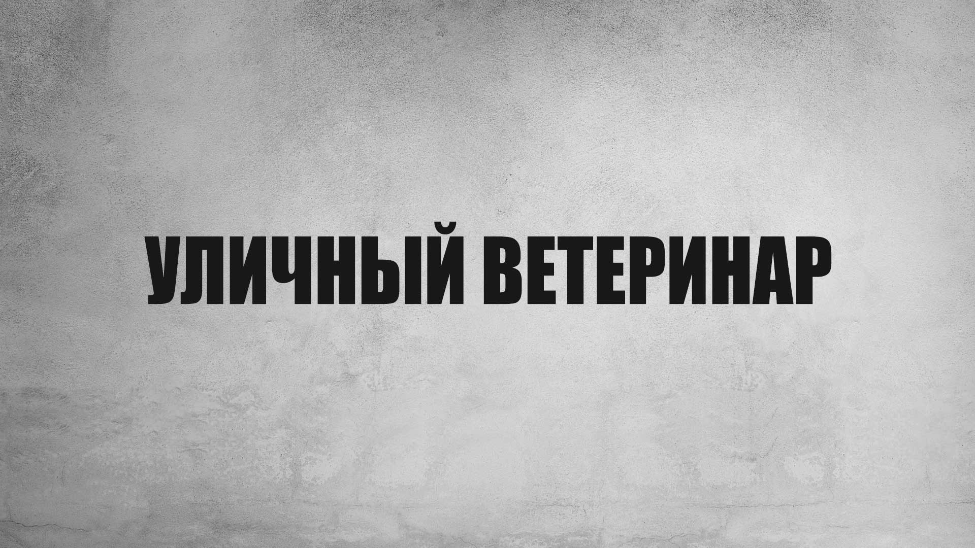 Уличный ветеринар