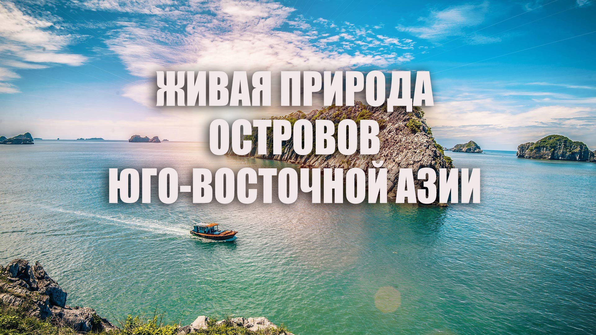 Живая природа островов Юго-Восточной Азии