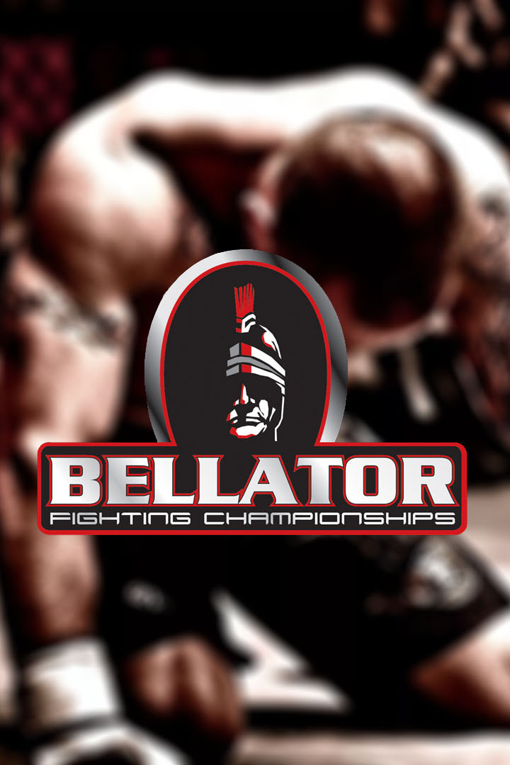 Смешанные единоборства. Bellator. Андрей Корешков против Лоренца Ларкина. Трансляция из США
