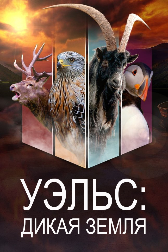 Уэльс: дикая земля
