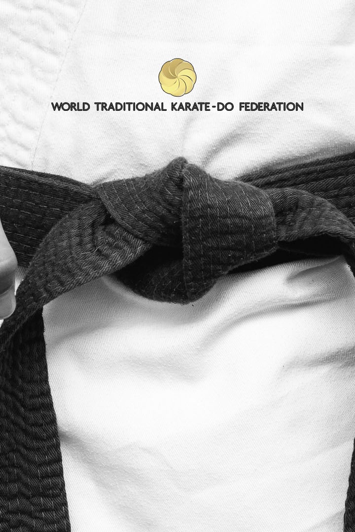Кикбоксинг. WTKF. Гран-при. Финалы