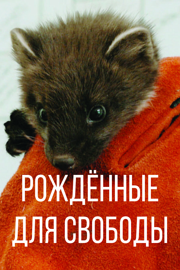 Рождённые для свободы