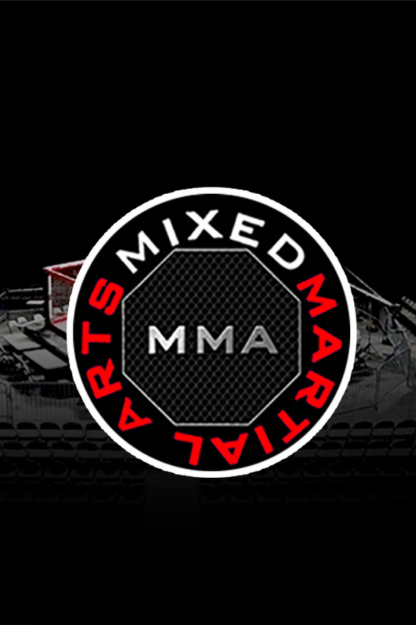 MMA Series. ММА. Время Новых Героев. Б.Медведев vs В.Шабалин