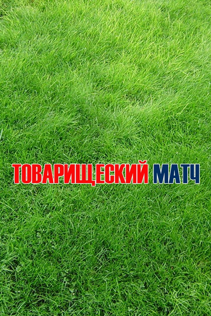 Футбол. Товарищеский матч. Англия - Уэльс