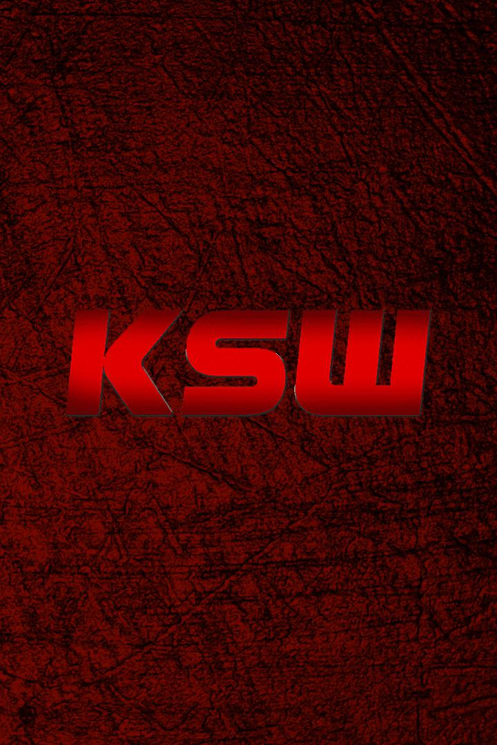 Смешанные единоборства. KSW 56. Михал Матерла против Роберто Солдича