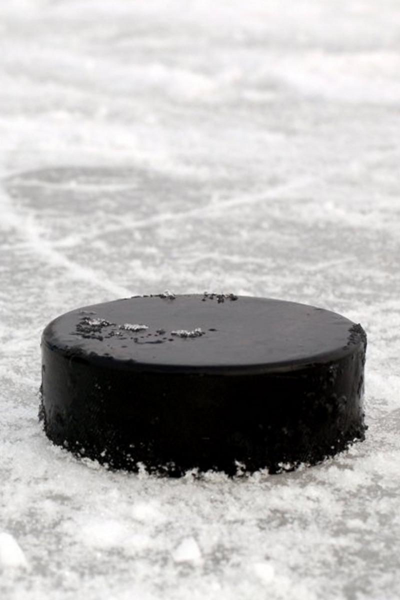 Хоккей. Шведская хоккейная лига SHL. Регулярный сезон 2020/2021. "Рёгле" - "Векшё Лейкерс"