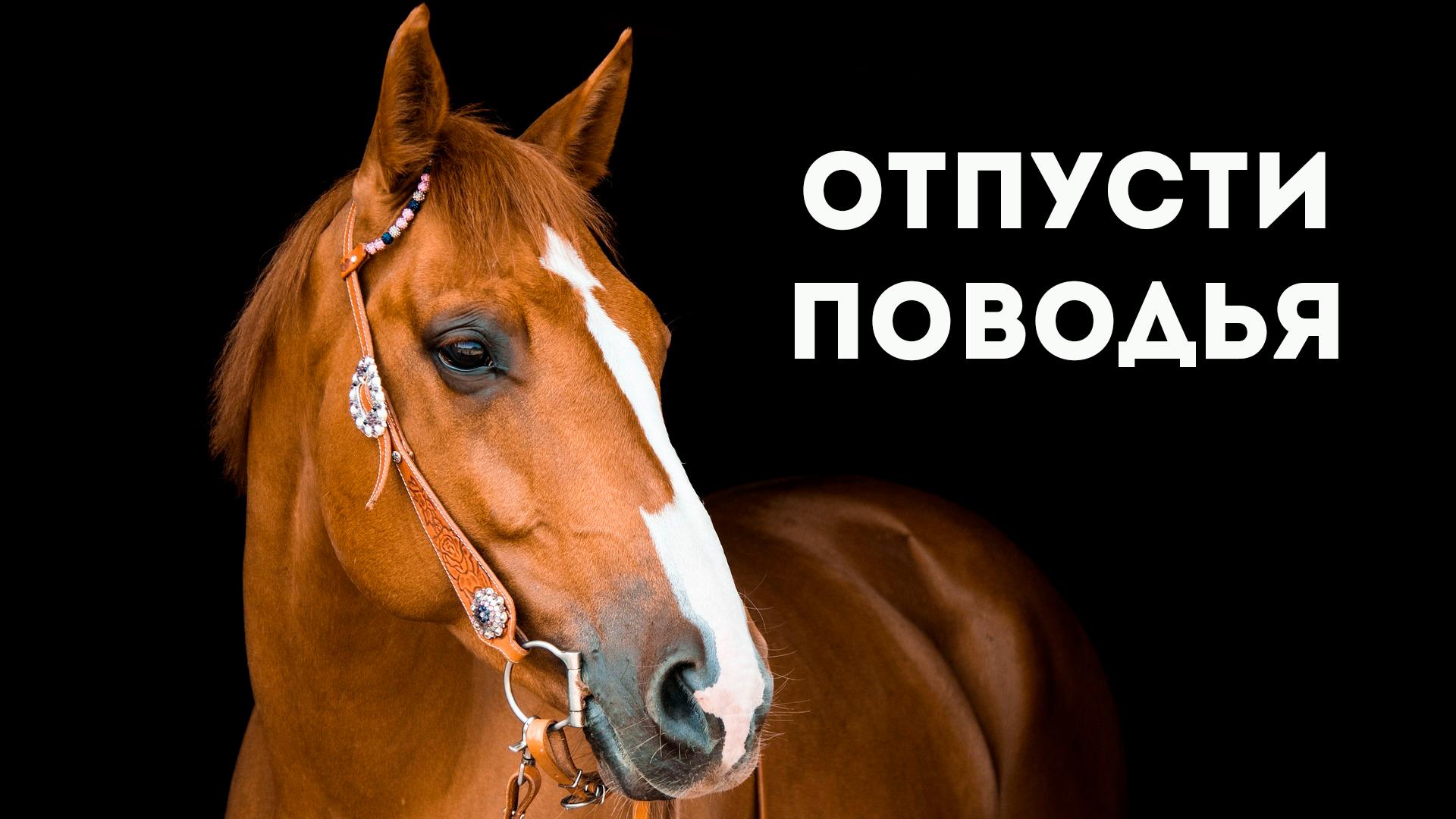 Отпусти поводья