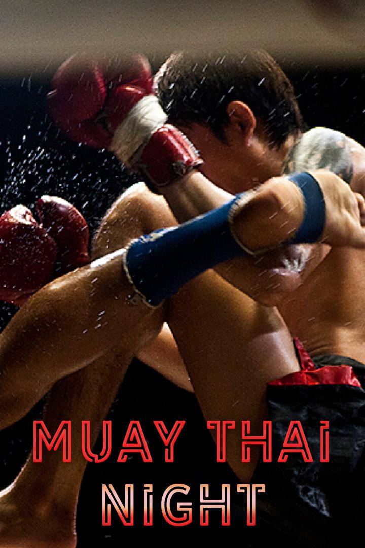 Тайский бокс. Muay Thai Night. Аик Бегян против Яссина Хамлауи. Валерий Коваленко против Тамерлана Хасиева