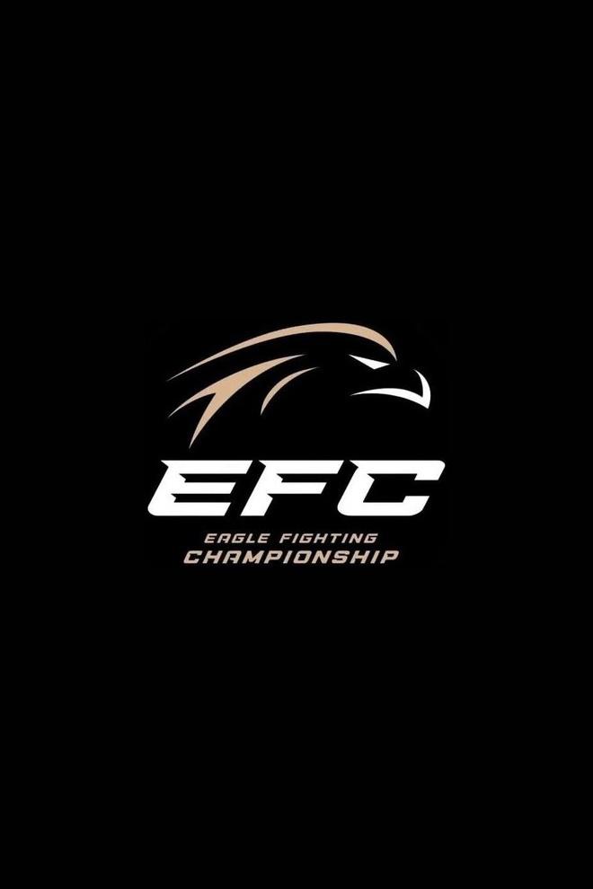 Смешанные единоборства. Eagle FC 35. Мехди Дакаев против Узаира Абдуракова. Артур Гусейнов против Марсио Сантоса