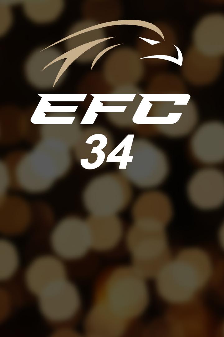Смешанные единоборства. Eagle FC 34. Андрей Одинцов против Жоры Айвазяна. Ренат Хавалов против Шарапудина Магомедова