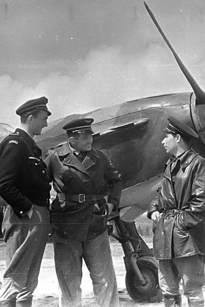 Нормандия-Неман. История одного полка