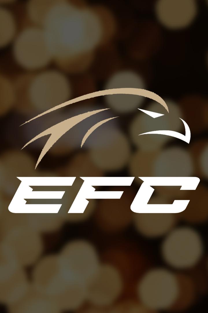 Смешанные единоборства. Eagle FC 36. Леонид Тимошенко против Владимира Дайнеко. Пауло Сезар Оливейра против Сайгида Изагахмаева