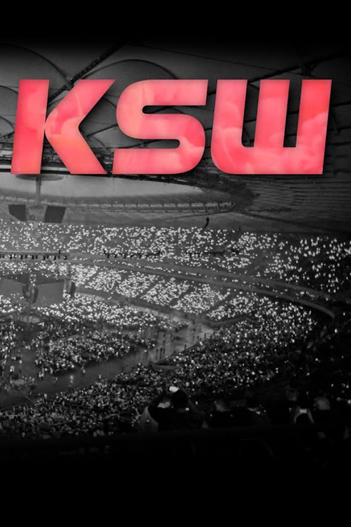 Смешанные единоборства. KSW. Шимон Колецки против Акопа Шостака. Трансляция из Польши