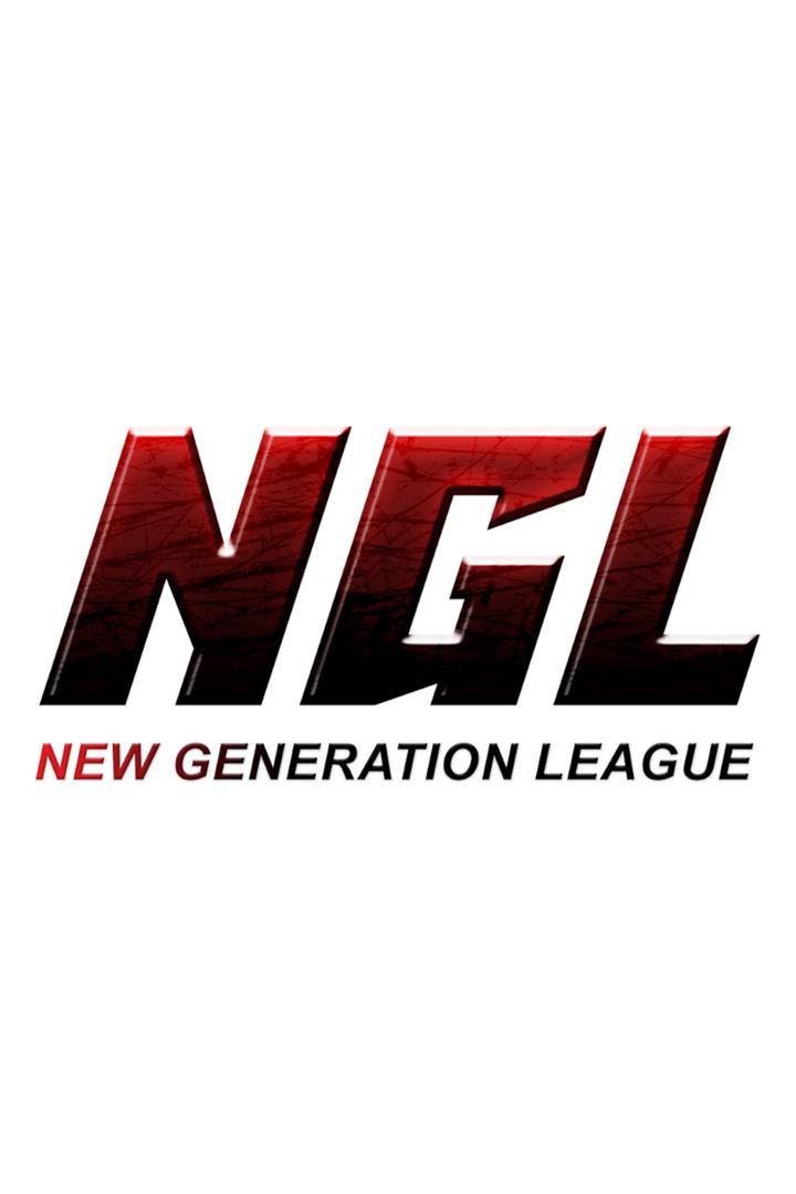 Шоу NGL 4 (MMA, профессионалы). Челябинск (Россия)