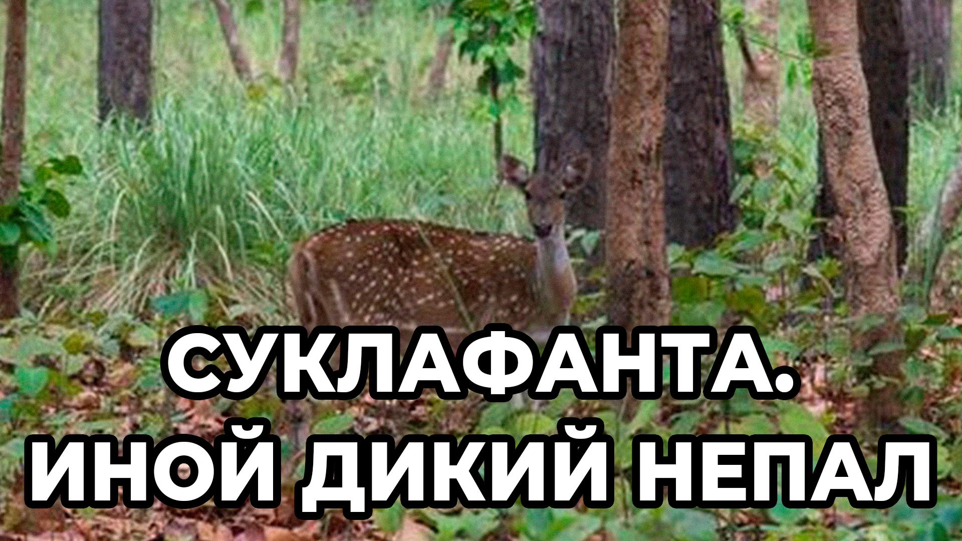 Суклафанта. Иной дикий Непал