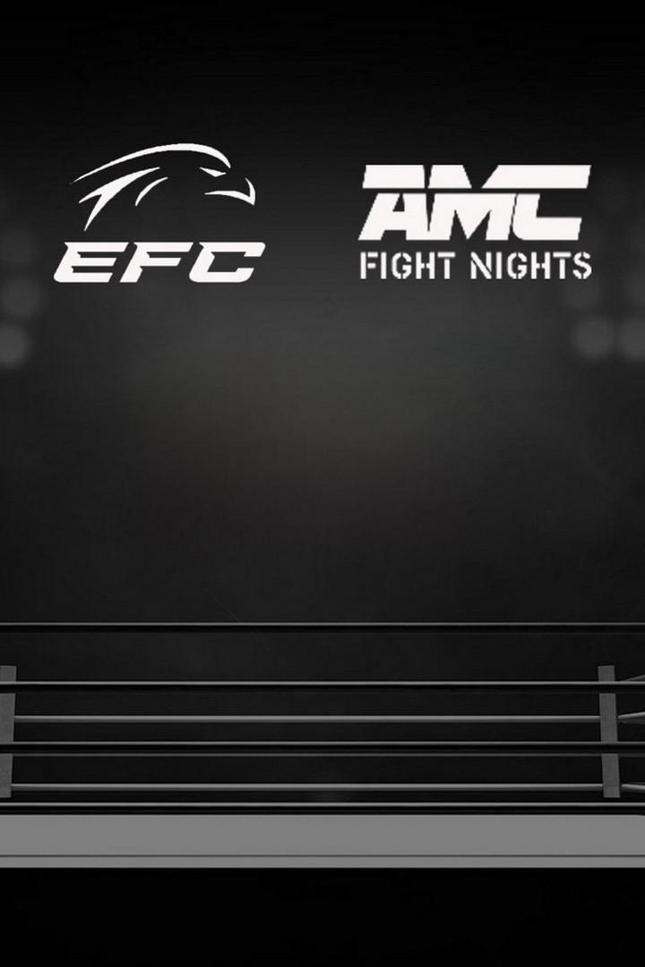 Смешанные единоборства. Eagle FC & AMC Fight Nights. Шамиль Завуров против Наримана Аббасова