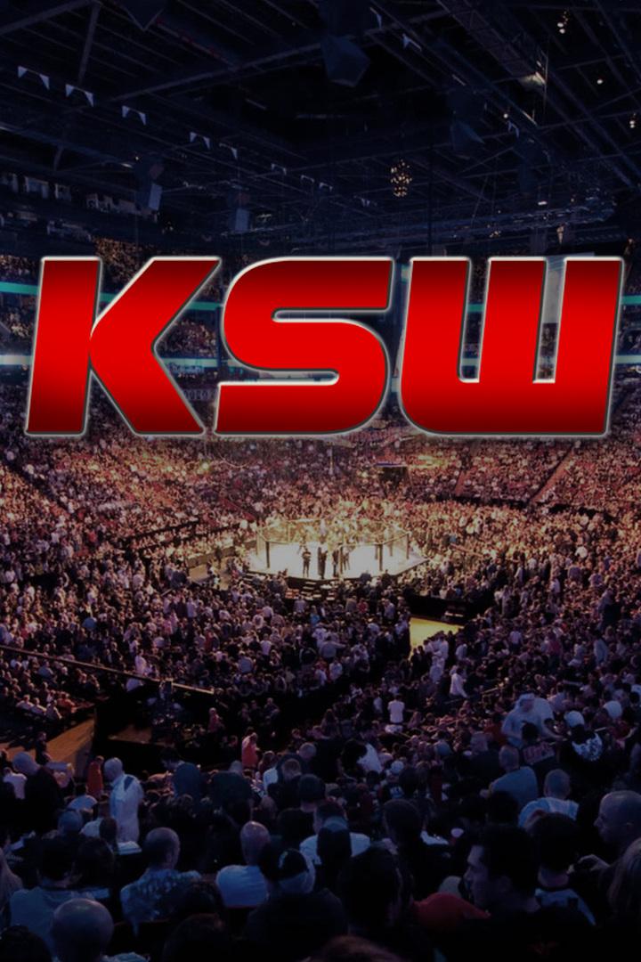Смешанные единоборства. KSW. Мамед Халидов против Роберто Солдича. Трансляция из Польши