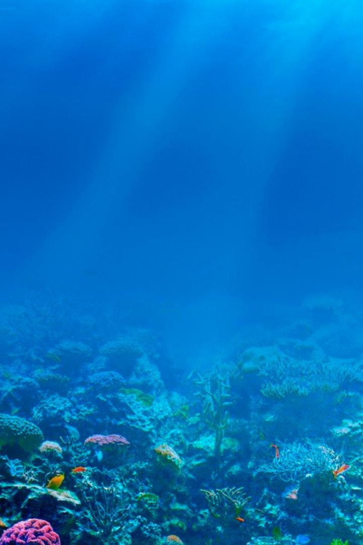 Подводная планета