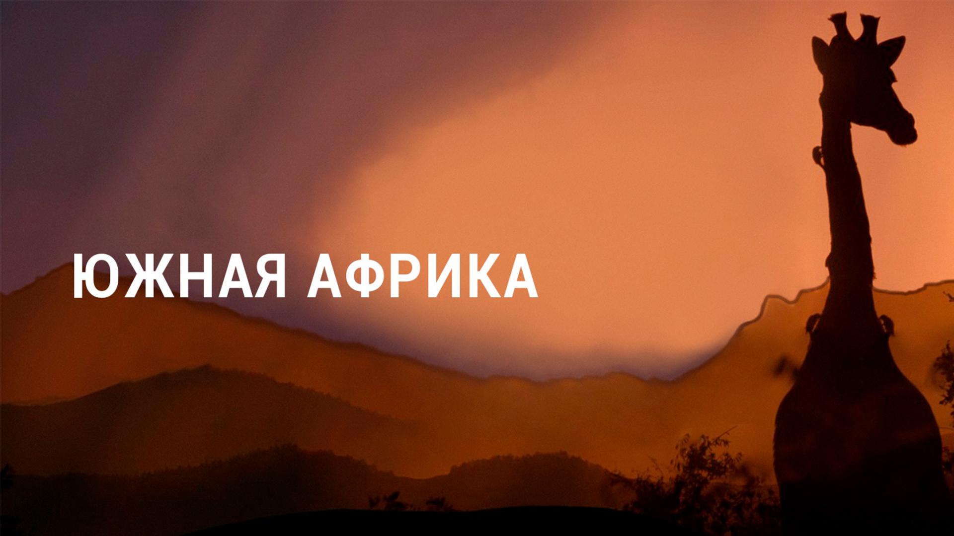 Цвет Южной Африки
