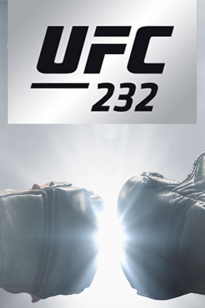 Смешанные единоборства. UFC 232. Пётр Ян против Дугласа Сильвы де Андраде. Джон Джонс против Александра Густафссона