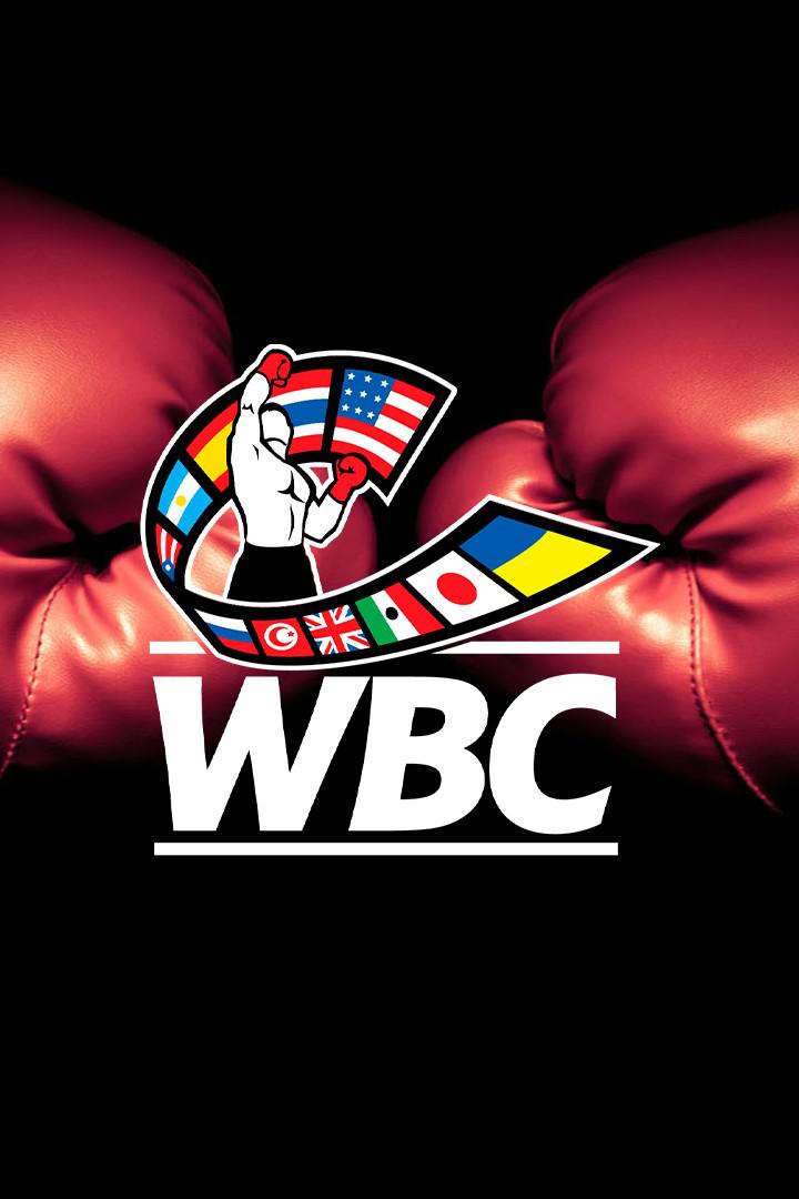 Бокс. Заур Абдуллаев - Хорхе Линарес. Бой за титул чемпиона WBC Silver в легком весе. Георгий Кушиташвили - Олареважу Сегун. Екатеринбург