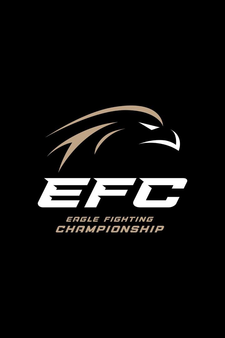 Смешанные единоборства. Eagle FC. Расул Магомедов против Абдурахмана Гитиновасова. Трансляция из Москвы