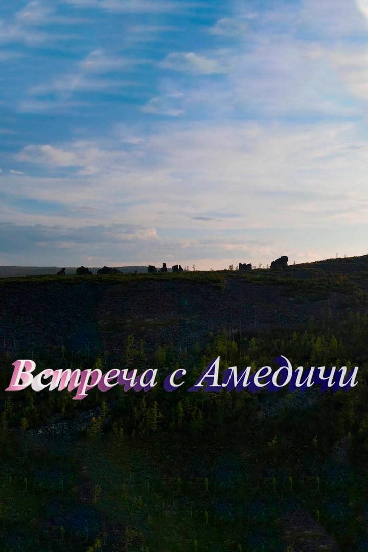 Встреча с Амедичи