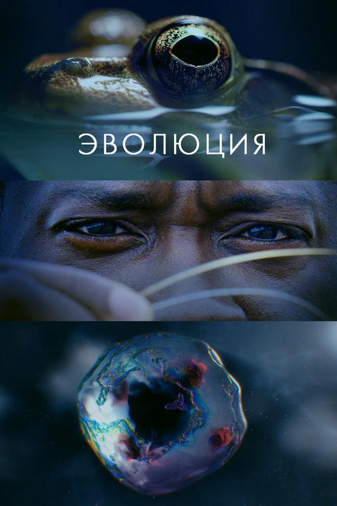 Эволюция