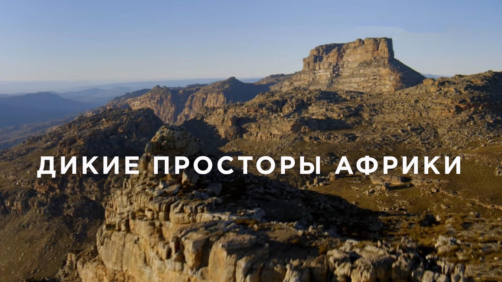 Дикие просторы Африки
