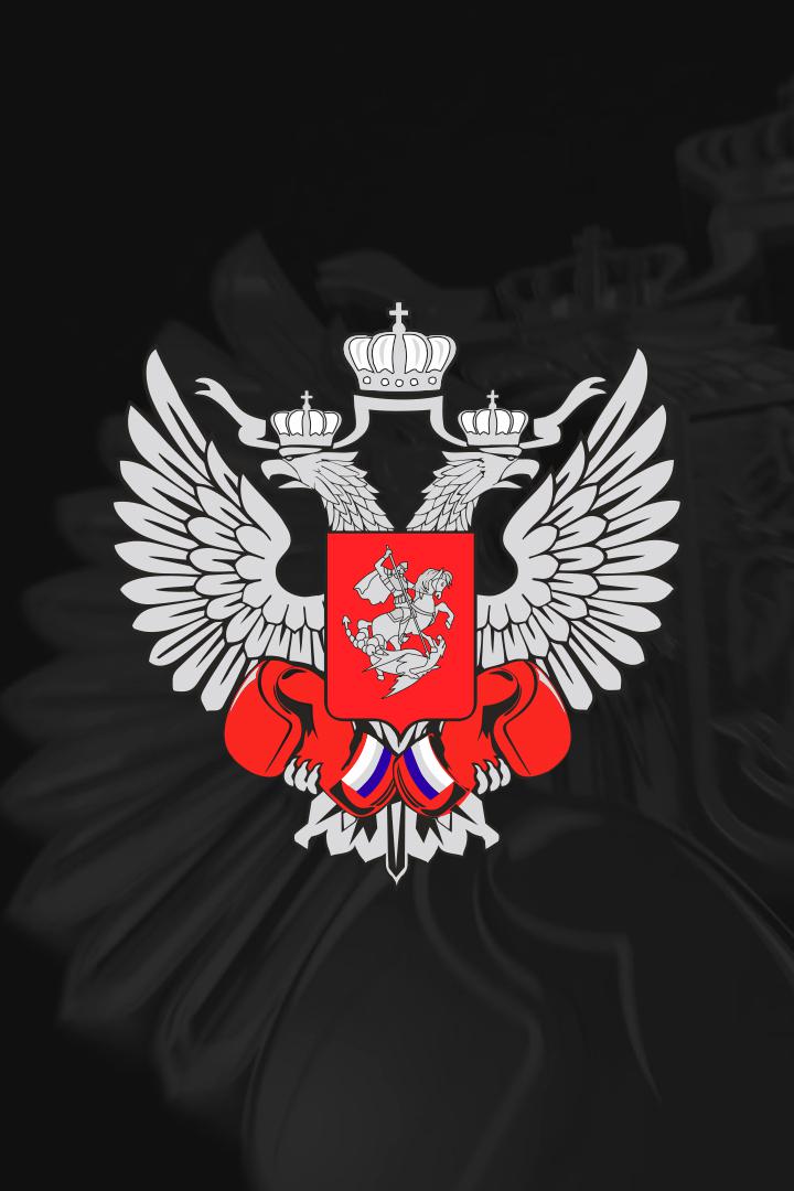 Бокс. Турнир "Знамя Победы". Трансляция из Серпухова