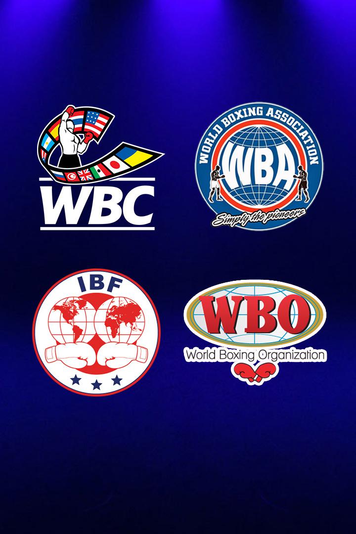Профессиональный бокс. Сауль Альварес против Калеба Планта. Бой за титулы WBC, WBA, IBF и WBO в суперсреднем весе