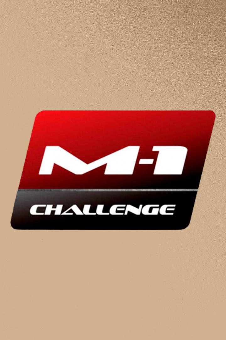 Топ-10 средний вес. M-1 Challenge 42. В.Василевский vs В.Нобрега